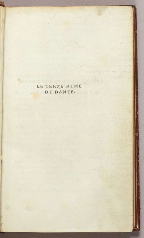 Step 4: Dante – Lectura Dantis Andreapolitana